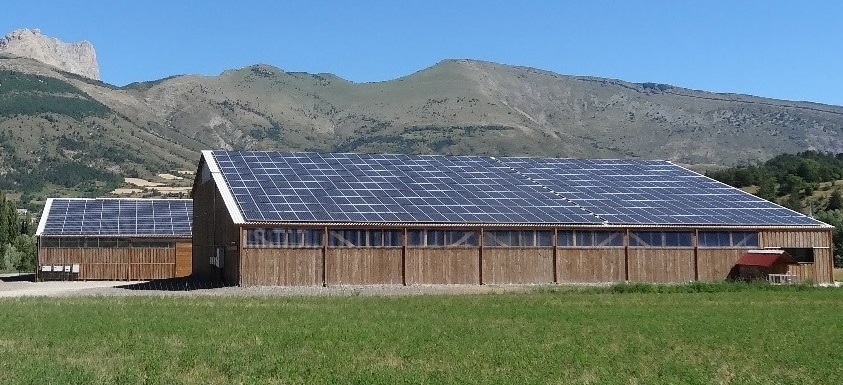 L’énergie verte c’est bien, avec le bien-être animal c’est encore mieux
