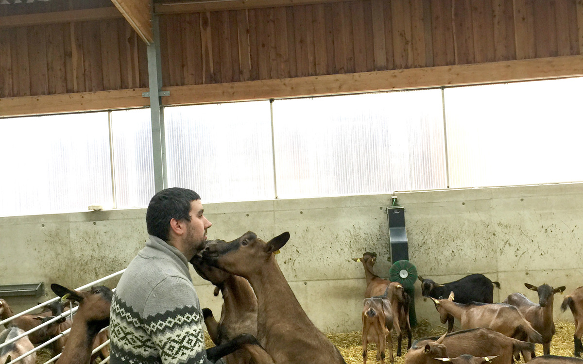 Ferme bio du Grand Ried