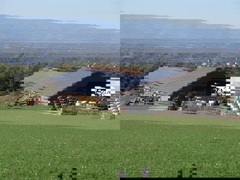 Toiture Agricole en Fibres-ciment ou bac acier : 8 raisons de ne plus hésiter