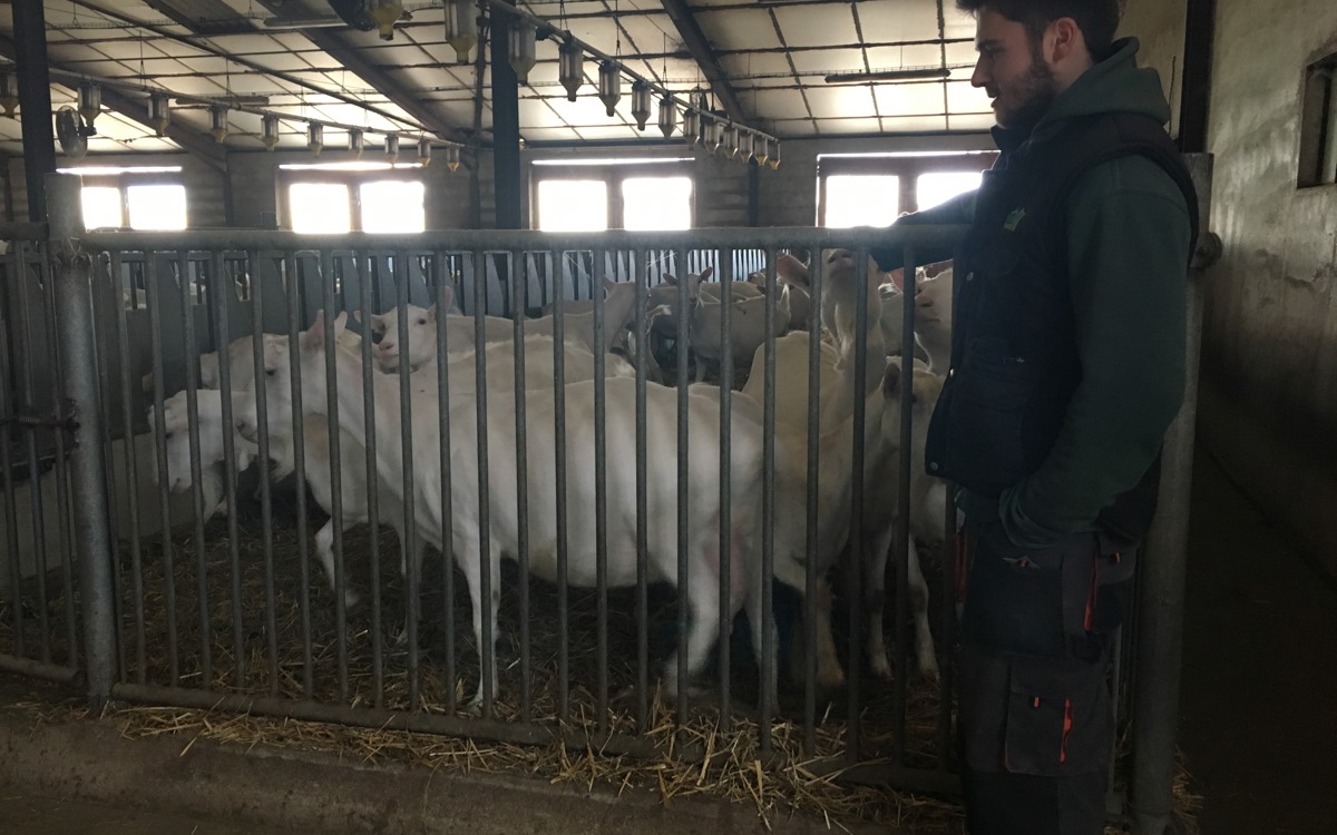 Visite de l’exploitation Gaec Chevrilait