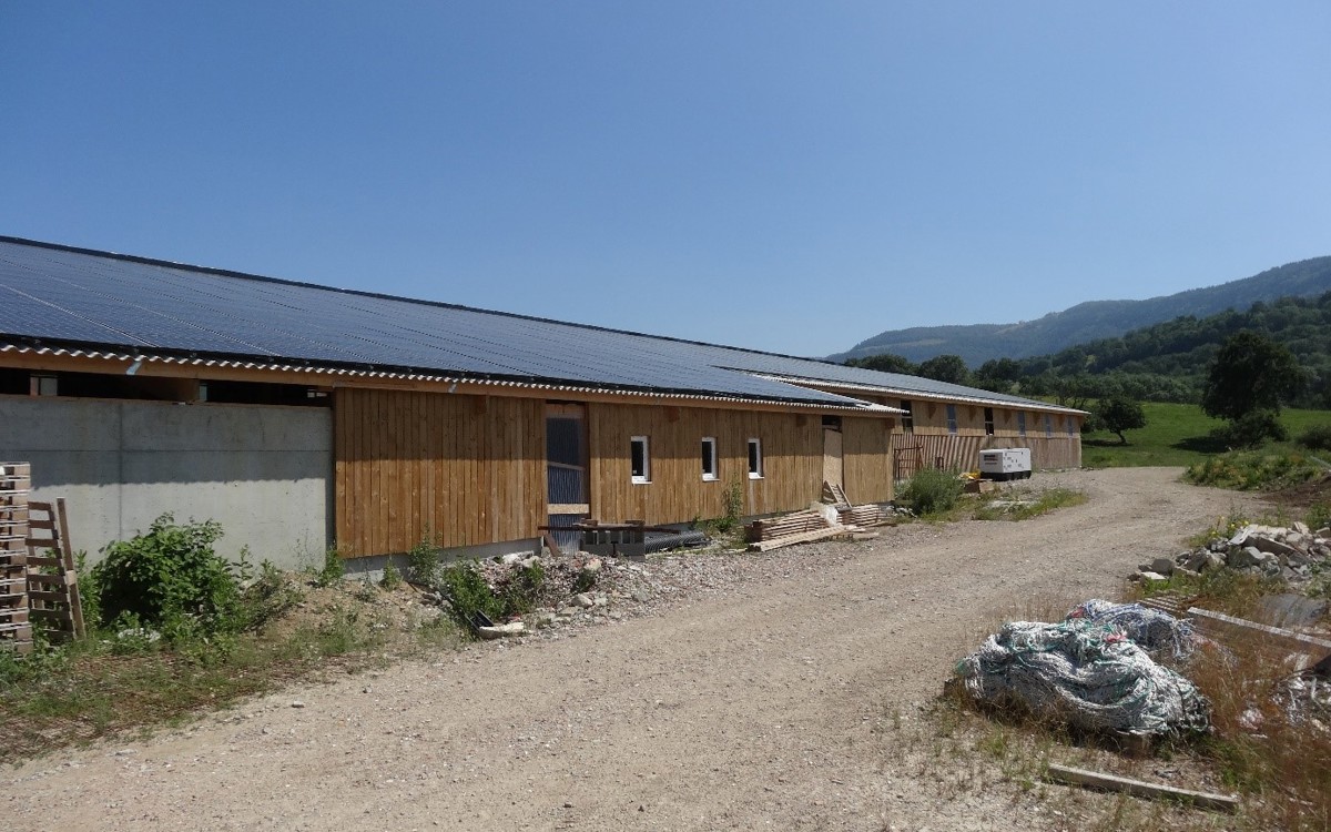 Photovoltaïque et rénovation des toitures agricoles