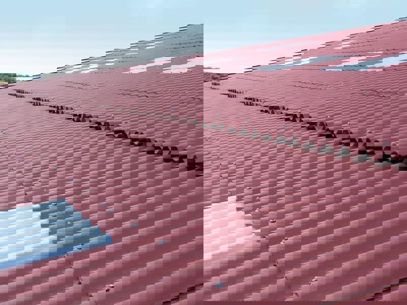 Toiture Agricole en Fibres-ciment ou bac acier : 8 raisons de ne plus hésiter