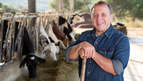 Le bien-être animal c’est quoi ?