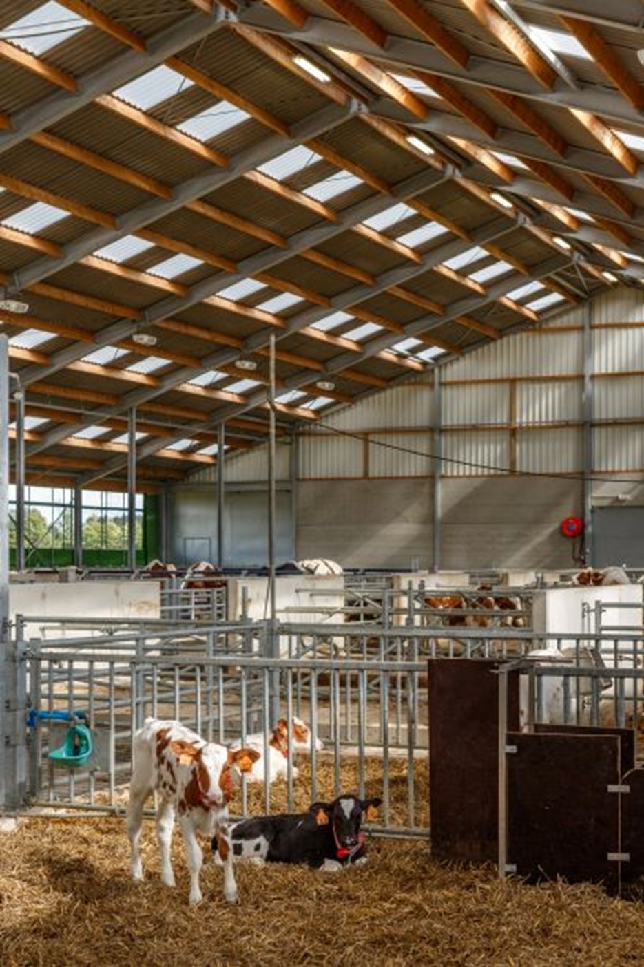 Importance de la lumière naturelle pour les animaux et le rendement agricole 