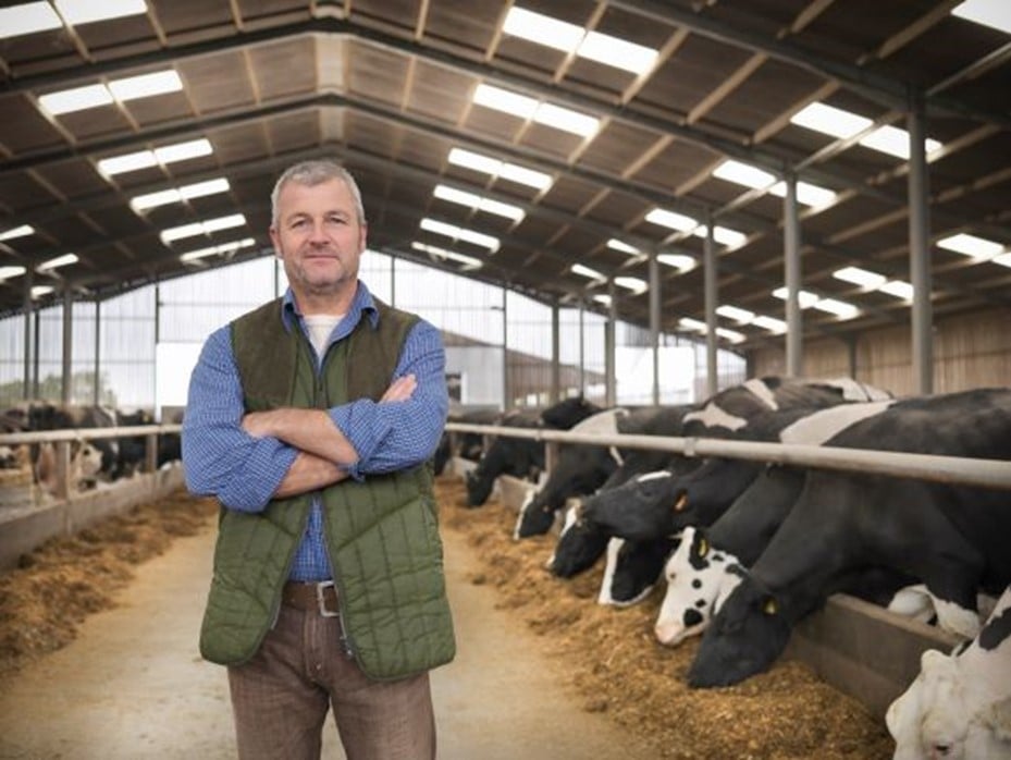 Importance de la lumière naturelle pour les animaux et le rendement agricole