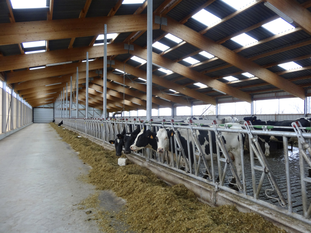 Importance de la lumière naturelle pour les animaux et le rendement agricole 